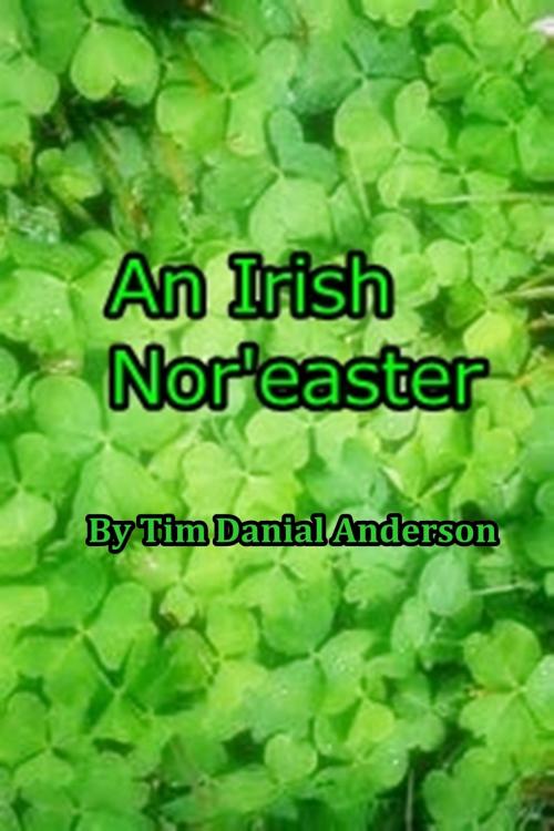 Cover of the book An Irish Nor'easter by Tim Danial Anderson, Tim Danial Anderson