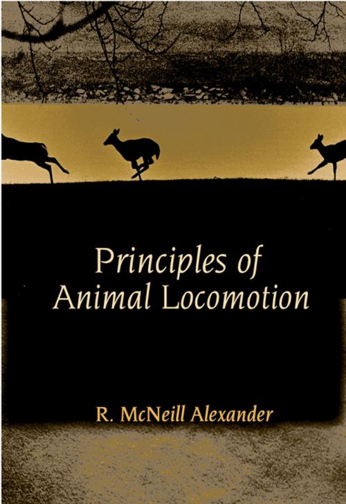 Cover of the book Principles of Animal Locomotion by R. McNeill Alexander, Princeton University Press