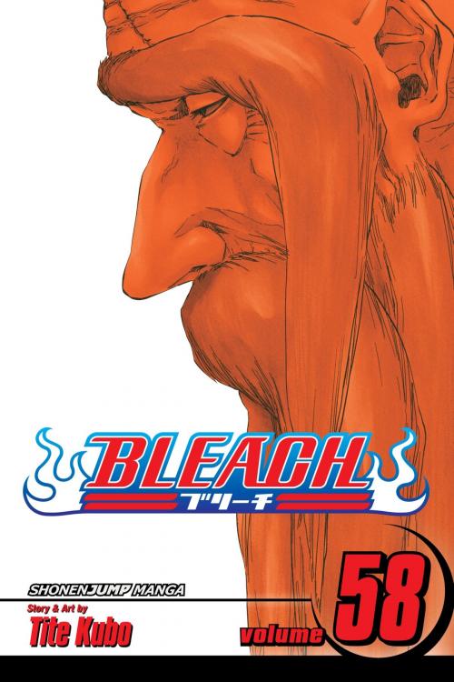 Cover of the book Bleach, Vol. 58 by Tite Kubo, VIZ Media