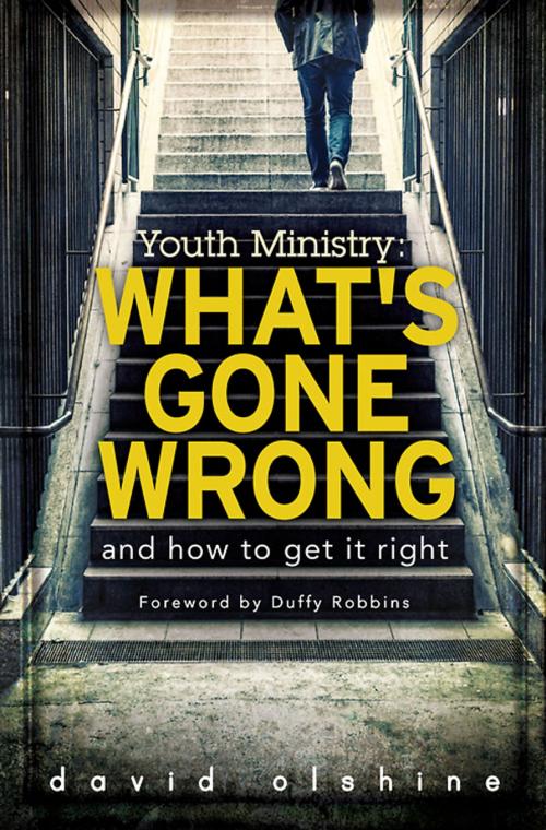 Cover of the book Youth Ministry by David Olshine, Abingdon Press