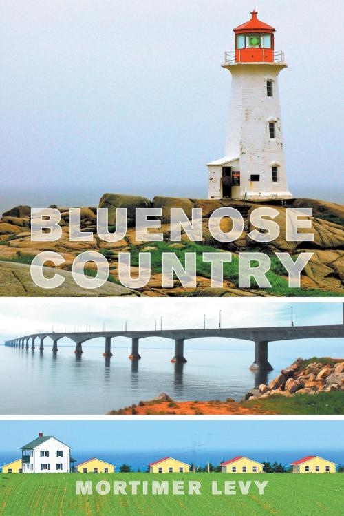 Cover of the book Bluenose Country by Mortimer Levy, FriesenPress