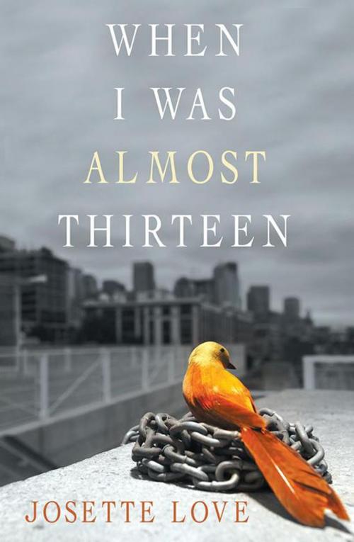 Cover of the book When I Was Almost Thirteen by Josette Love, Inspiring Voices