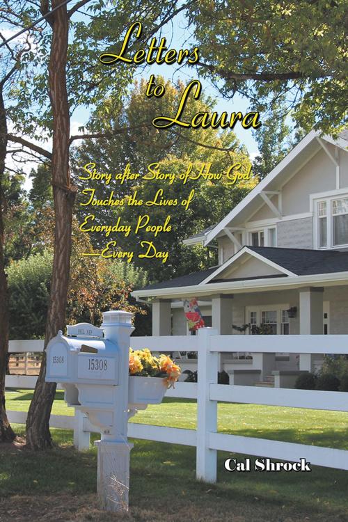 Cover of the book Letters to Laura by Cal Shrock, WestBow Press