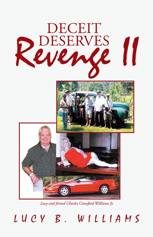 Cover of the book Deceit Deserves Revenge Ii by Lucy B. Williams, iUniverse