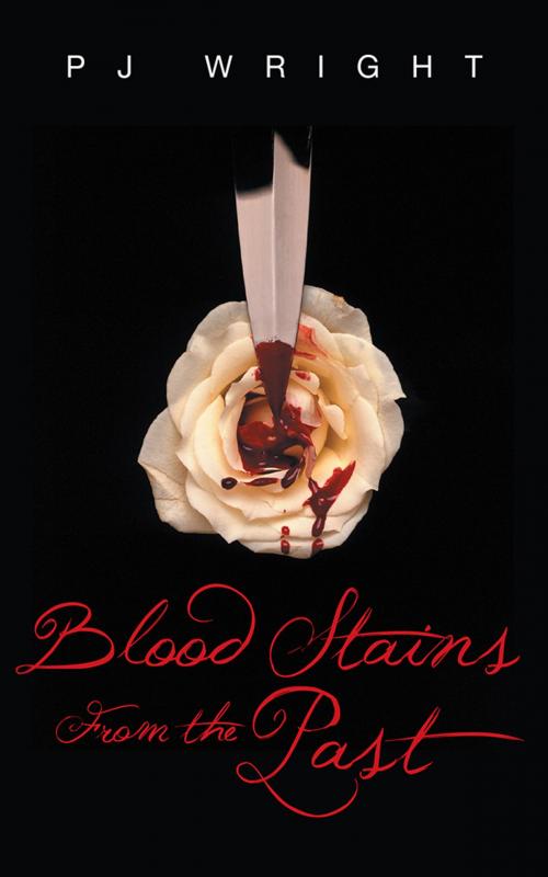 Cover of the book Blood Stains from the Past by PJ Wright, AuthorHouse