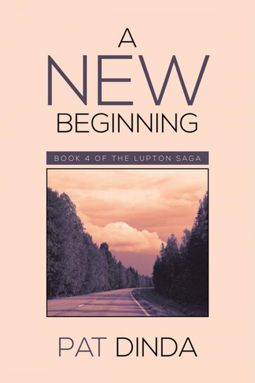 Cover of the book A New Beginning by Pat Dinda, Xlibris US