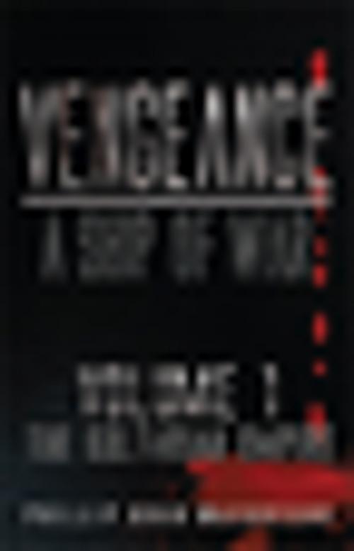 Cover of the book Vengeance: a Ship of War by Phillip Hugh MacGregor, Xlibris AU