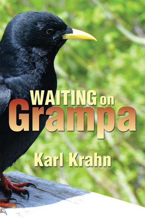 Cover of the book Waiting on Grampa by Karl Krahn, Xlibris US