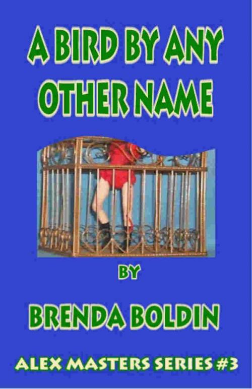 Cover of the book Bird by Any Other name: Alex Masters Series Vol. 3 by Brenda Boldin, Write Words Inc.