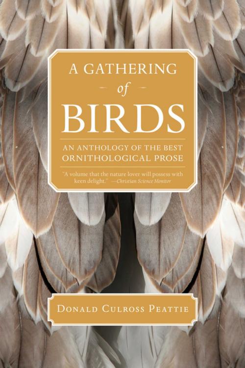 Cover of the book A Gathering of Birds by Donald Culross Peattie, Trinity University Press