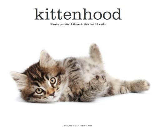 Cover of the book Kittenhood by Sarah Beth Ernhart, Becker&Mayer! Books, ABRAMS