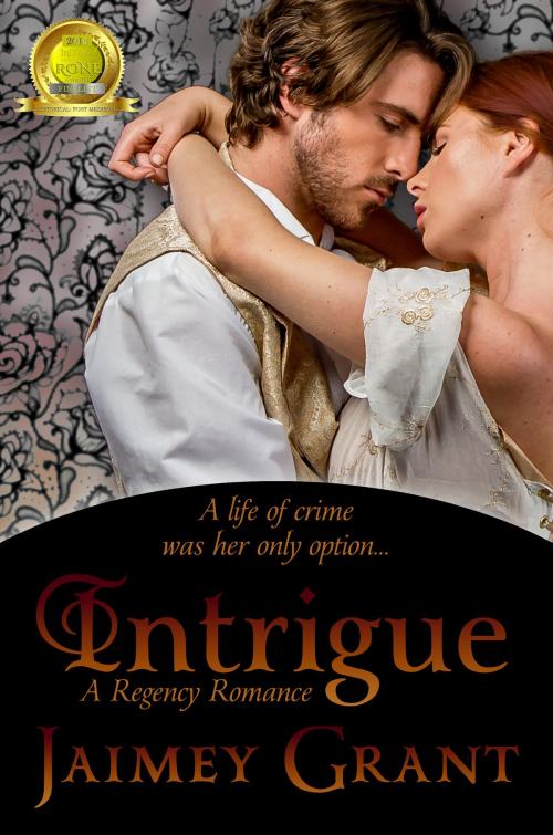 Cover of the book Intrigue by Jaimey Grant, Jaimey Grant