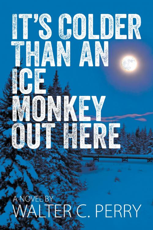 Cover of the book It's Colder Than an Ice Monkey Out Here by Walter Perry, Strategic Book Publishing & Rights Co.