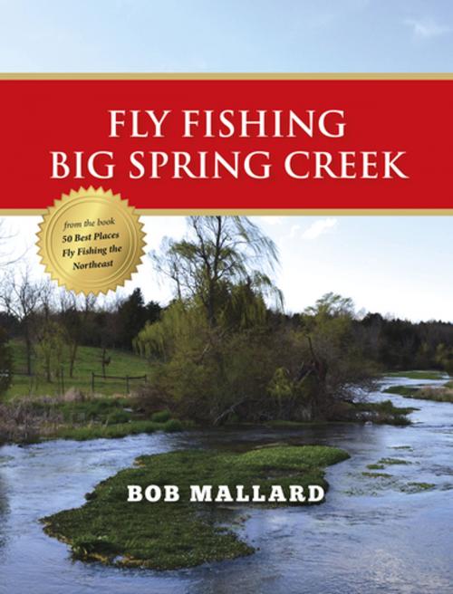 Cover of the book Fly Fishing Big Spring Creek by Bob Mallard, Stonefly Press