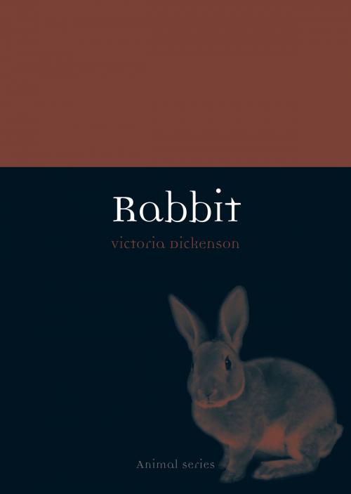 Cover of the book Rabbit by Victoria Dickenson, Reaktion Books