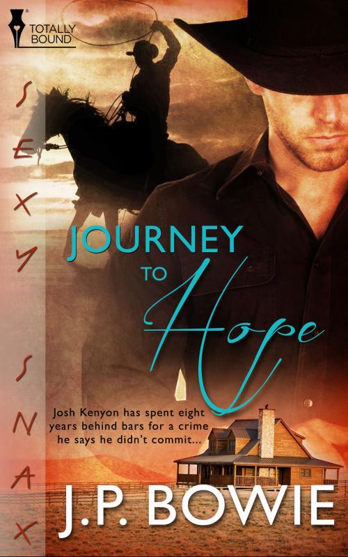 Cover of the book Journey to Hope by J.P. Bowie, Totally Entwined Group Ltd