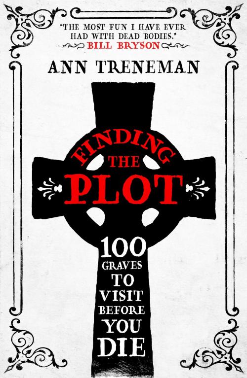 Cover of the book Finding the Plot by Ann Treneman, Biteback Publishing