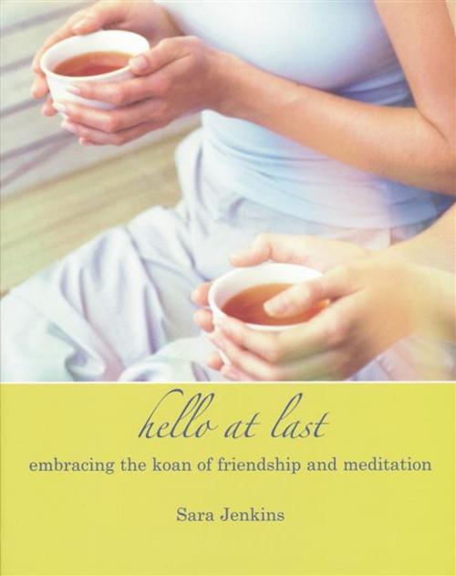 Cover of the book Hello at Last by Sara Jenkins, Windhorse Publications Ltd