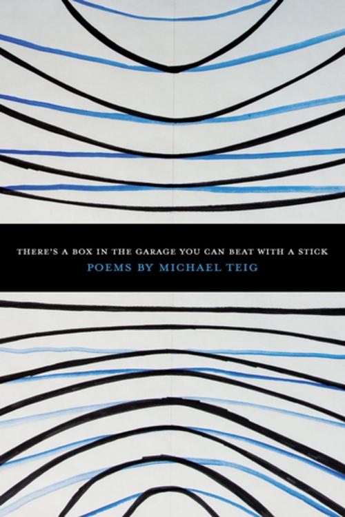 Cover of the book There's a Box in the Garage You Can Beat With a Stick by Michael Teig, BOA Editions Ltd.