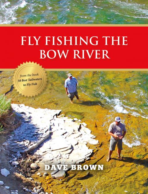 Cover of the book Fly Fishing the Bow River by Dave Brown, Stonefly Press