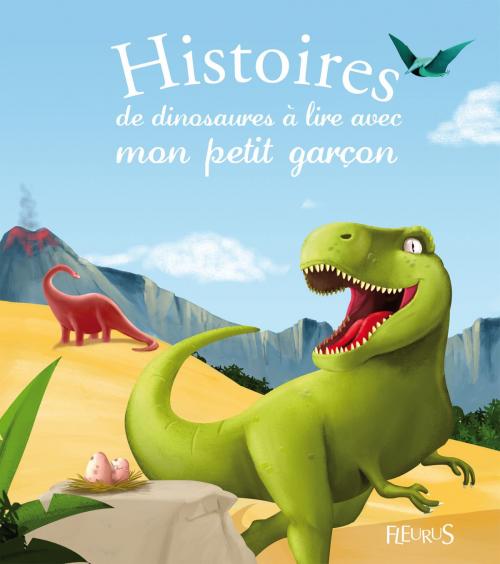 Cover of the book Histoires de dinosaures à lire avec mon petit garçon by Élisabeth Gausseron, Pascale Hédelin, Charlotte Grossetête, Anne Lanoë, Fleurus