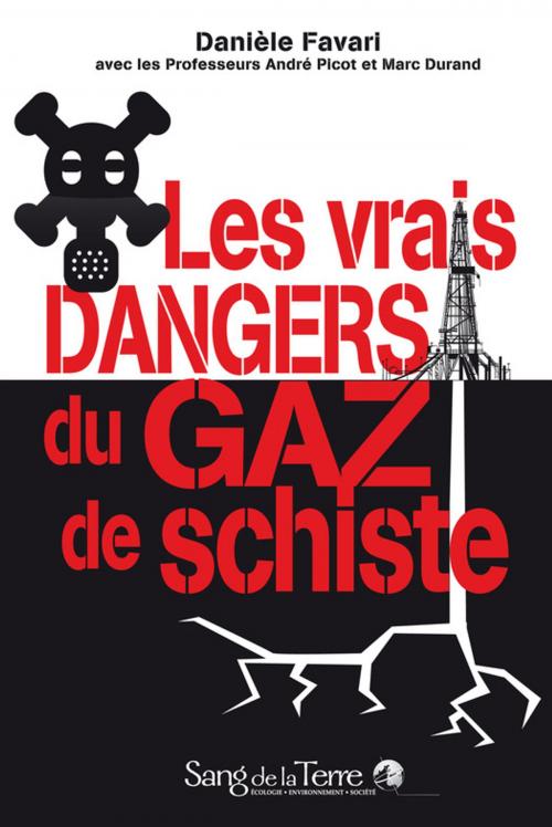 Cover of the book Les vrais dangers du gaz de schiste by Danièle Favari, Sang de la Terre