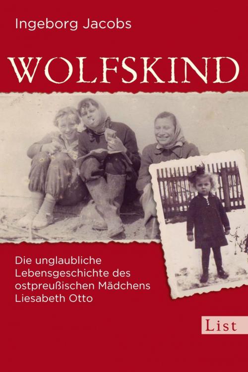 Cover of the book Wolfskind by Ingeborg Jacobs, Ullstein Ebooks