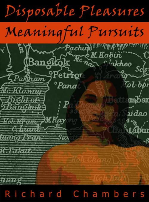 Cover of the book Disposable Pleasures - Meaningful Pursuits by Richard Chambers, booksmango