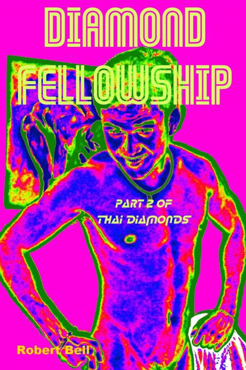 Cover of the book Diamond Fellowship by Robert Bell, booksmango