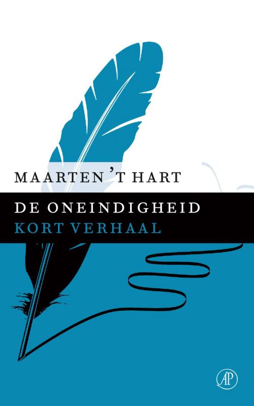 Cover of the book De oneindigheid by Maarten 't Hart, Singel Uitgeverijen