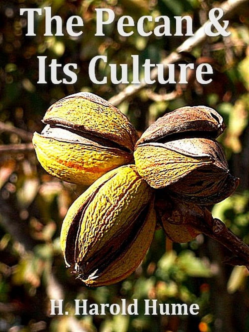 Big bigCover of The Pecan and its Culture