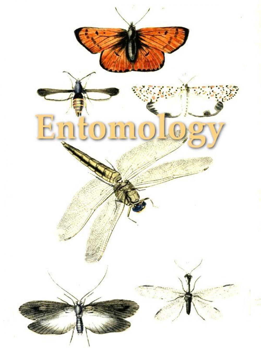 Big bigCover of An Introduction to Entomology: Or Elements of the Natural History of Insects, Fifth Edition, Volume 2 (of 4)