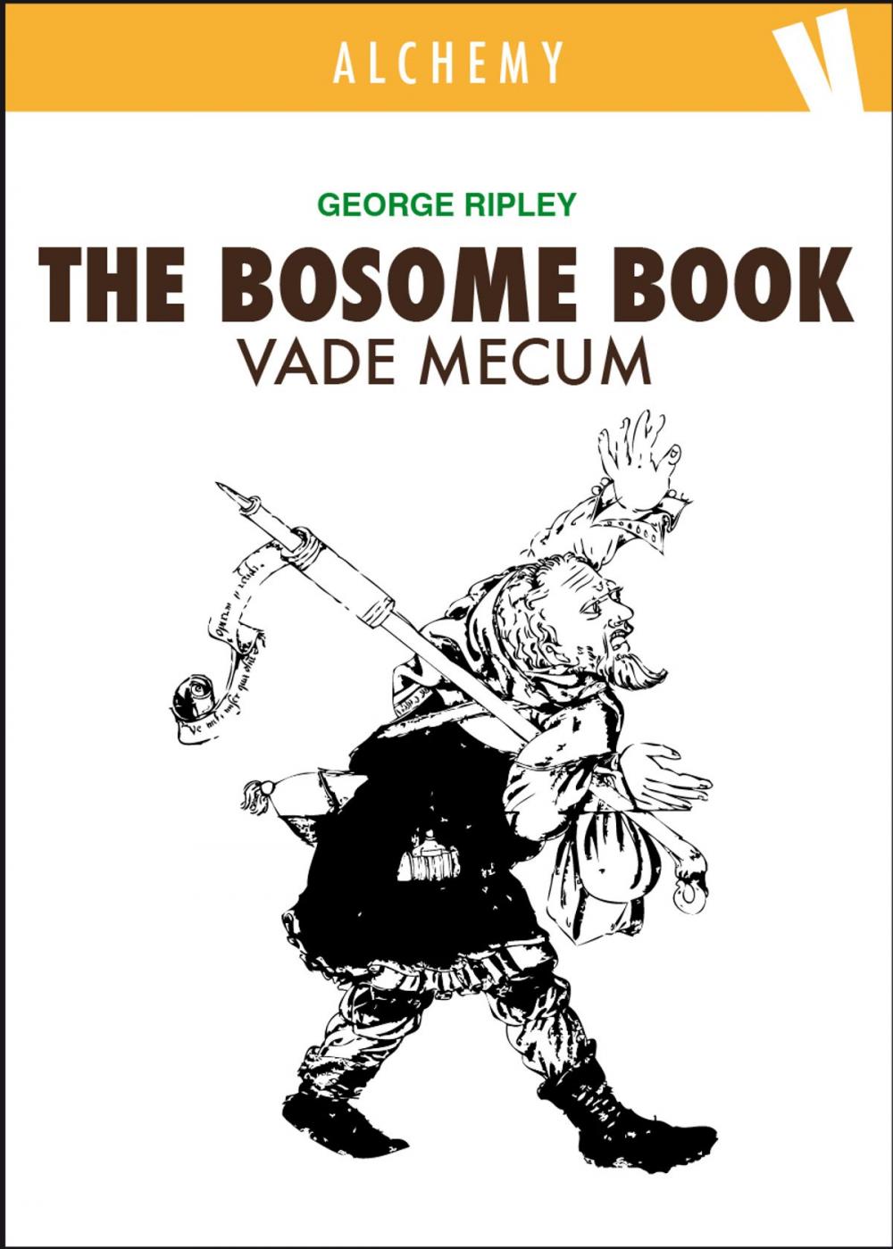 Big bigCover of The Bosome Book