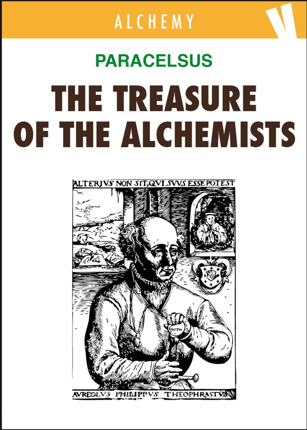 Big bigCover of The Treasure of the Alchemists