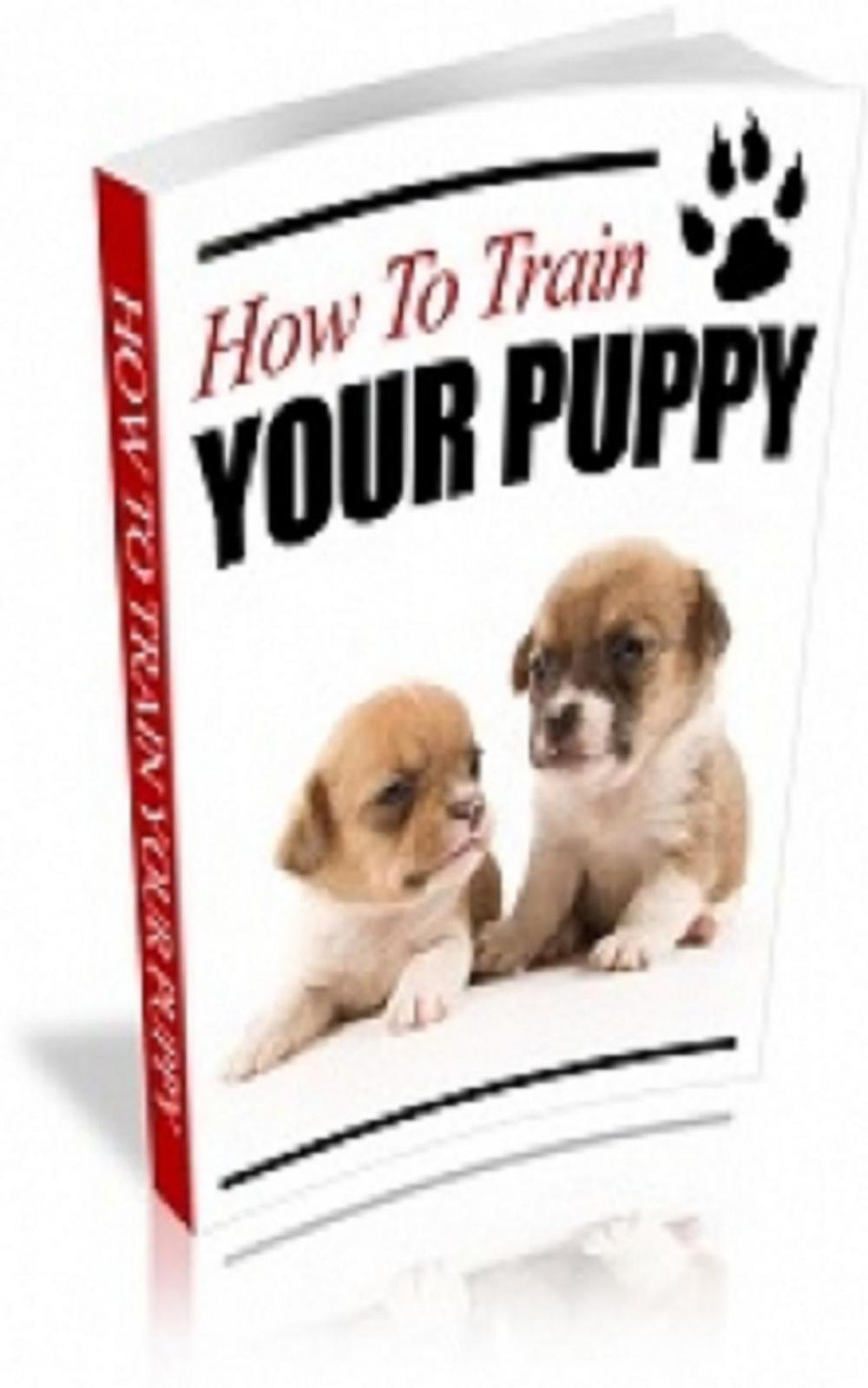 Big bigCover of How To Train Your Puppy