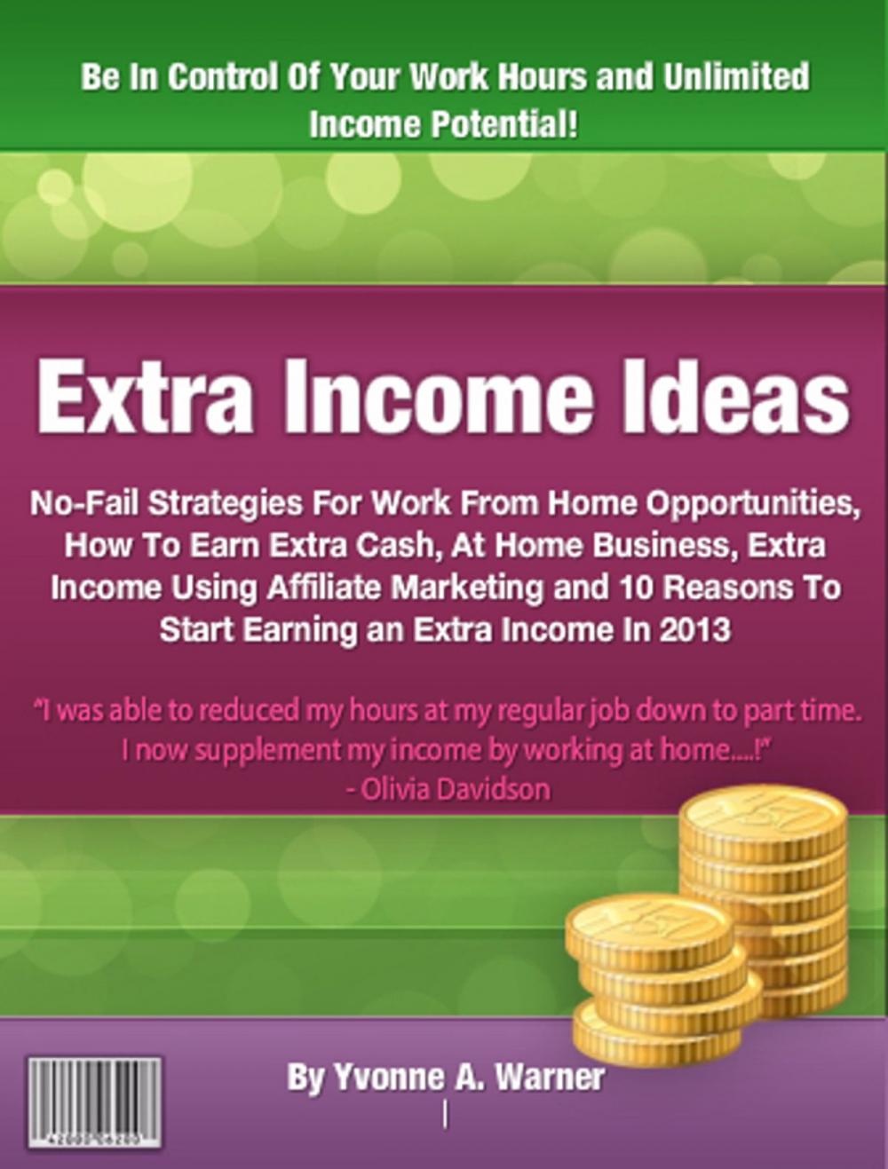 Big bigCover of Extra Income Ideas