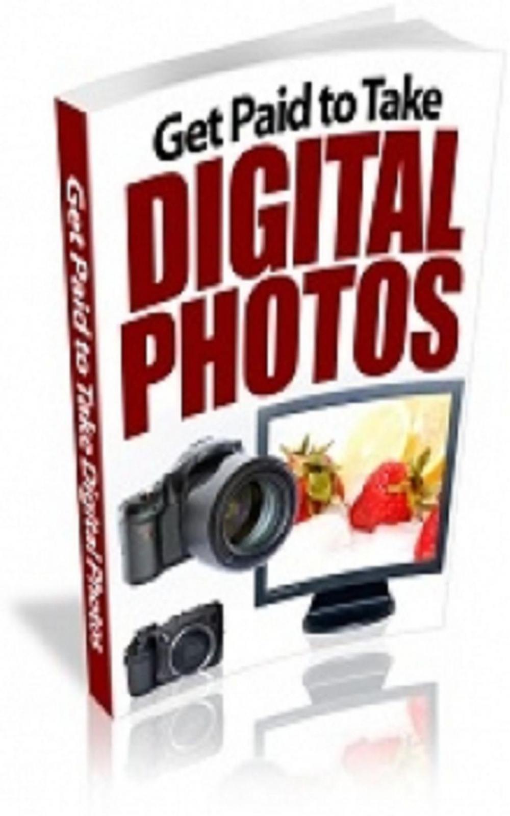 Big bigCover of How To Get Paid To Take Digital Photos