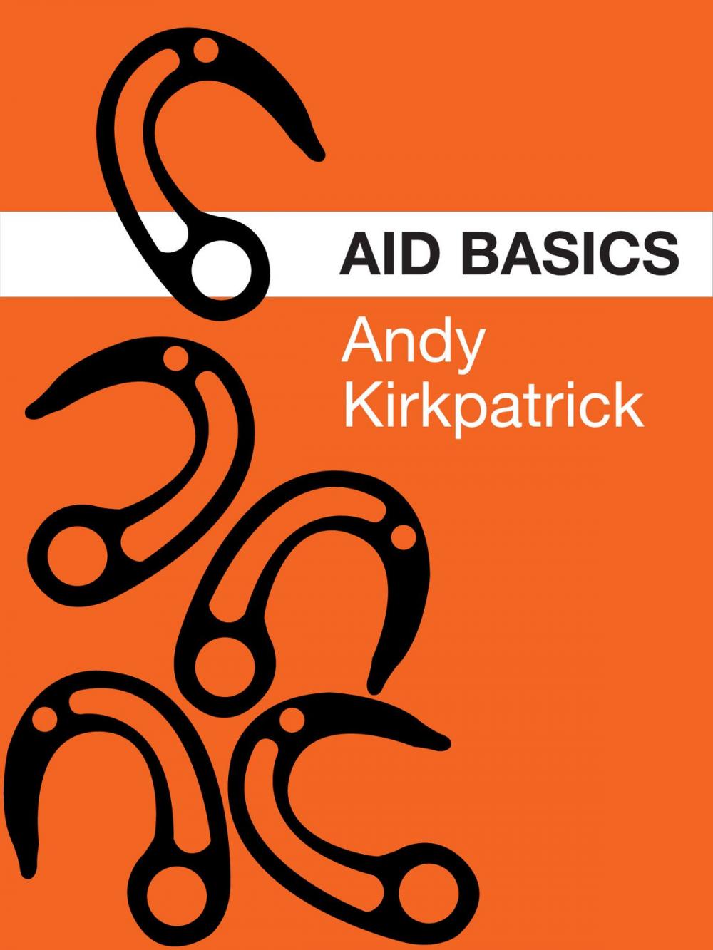 Big bigCover of Aid Basics