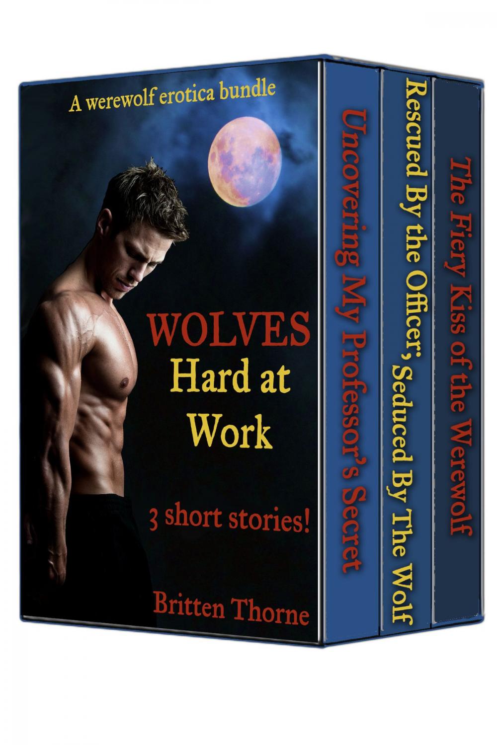 Big bigCover of Werewolf Erotica Bundle - Wolves Hard At Work (3 stories!)