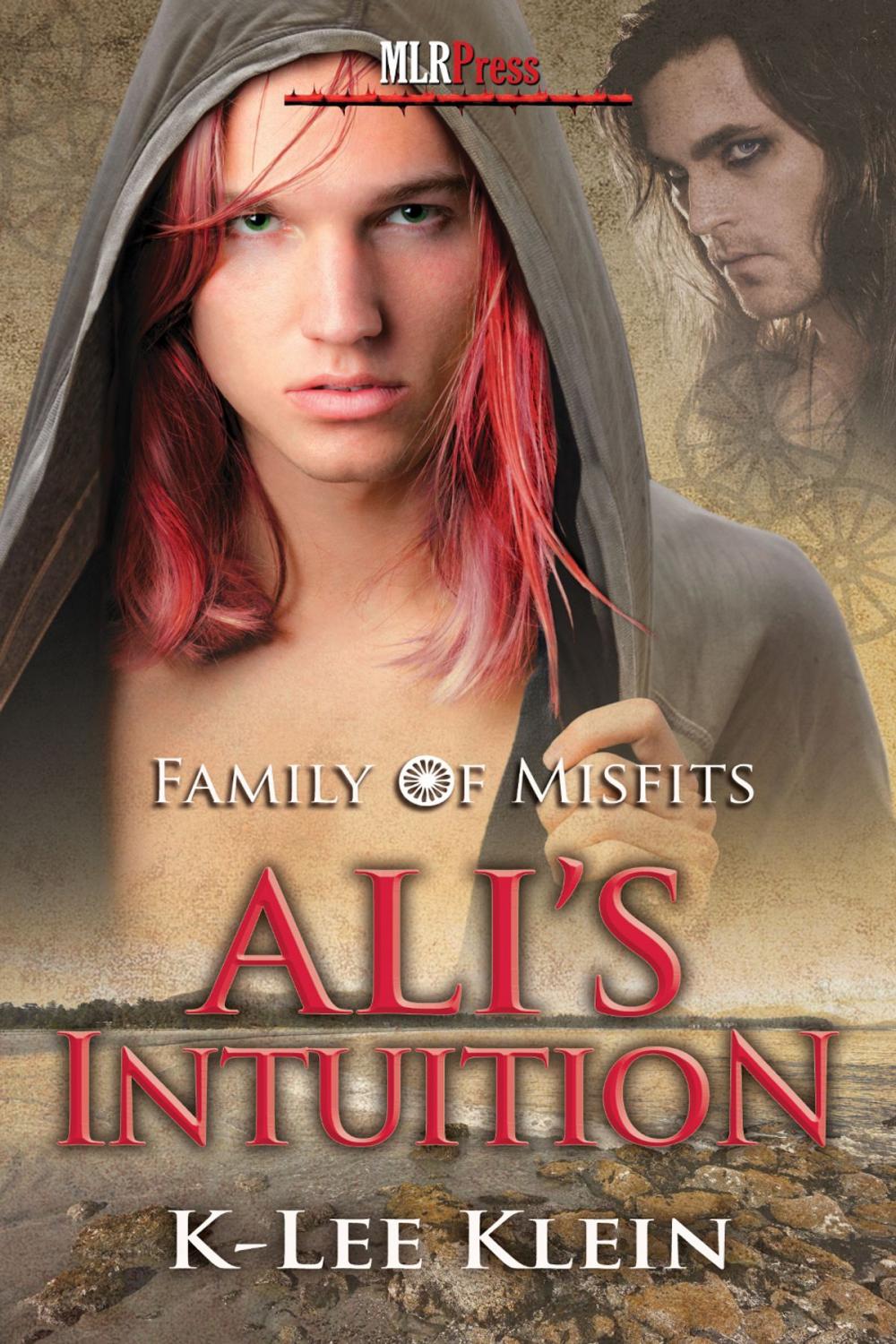 Big bigCover of Ali's Intuition