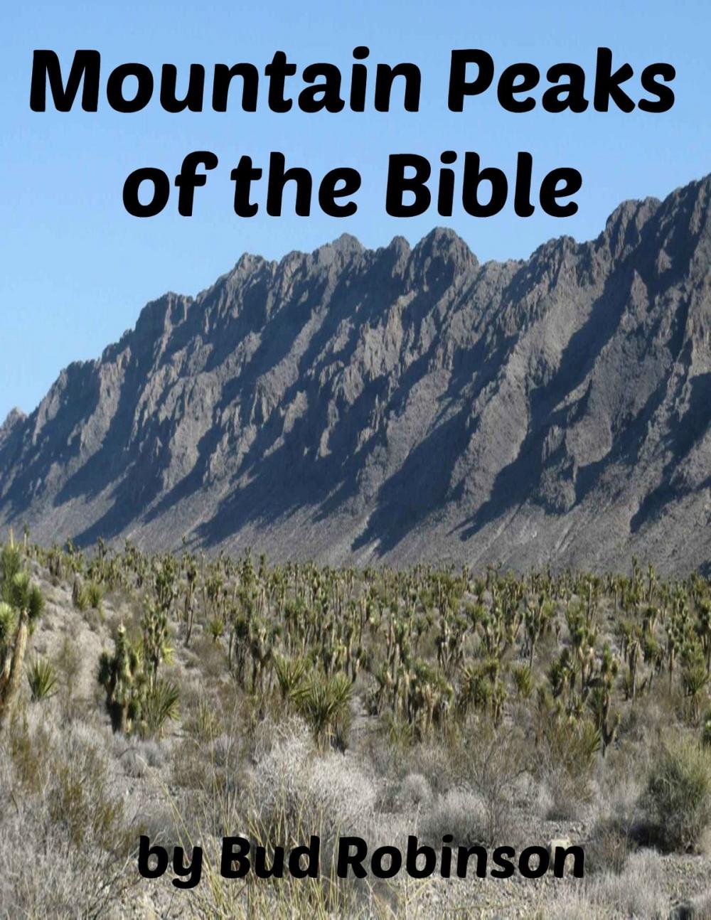 Big bigCover of Mountain Peaks of the Bible