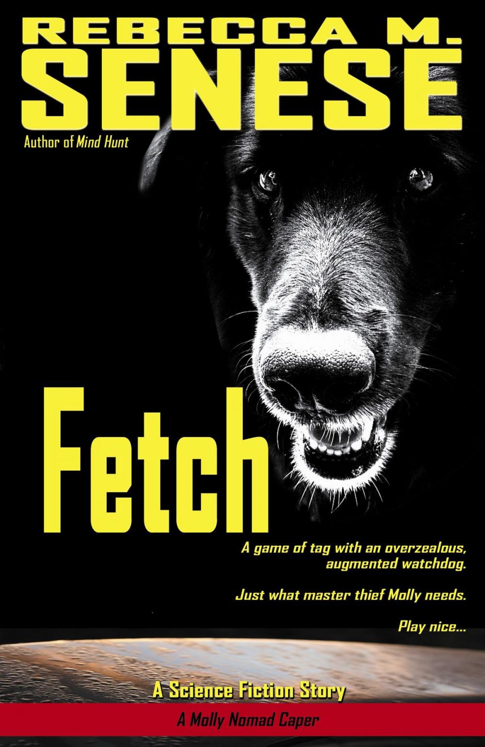 Big bigCover of Fetch: A Science Fiction Story