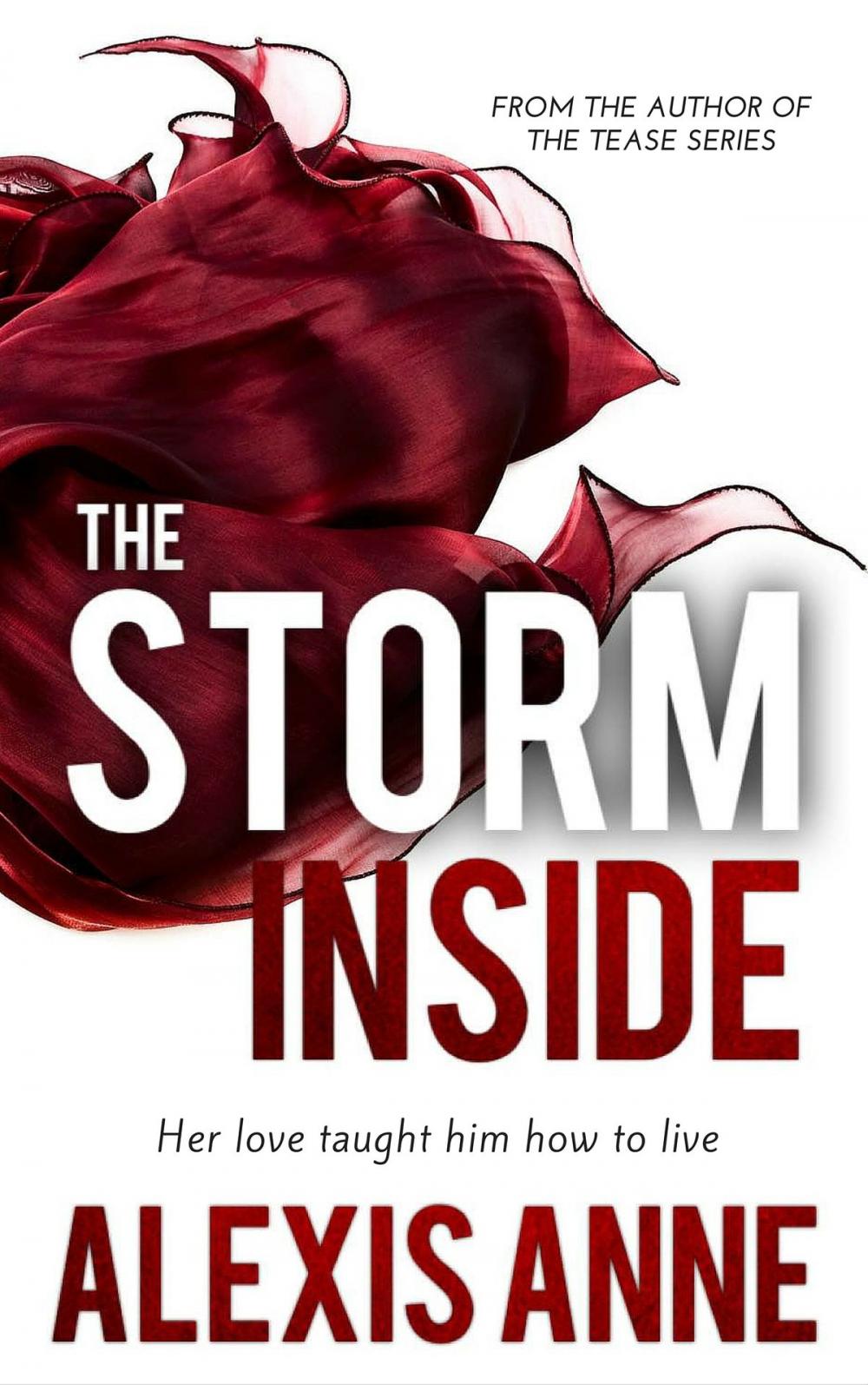 Big bigCover of The Storm Inside