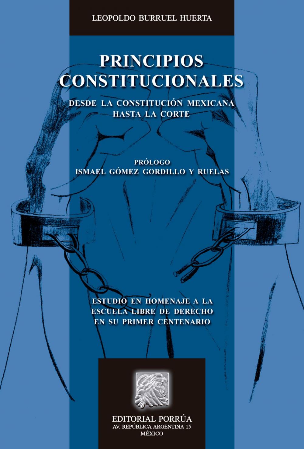 Big bigCover of Principios constitucionales: Desde la Constitución mexicana hasta la Corte