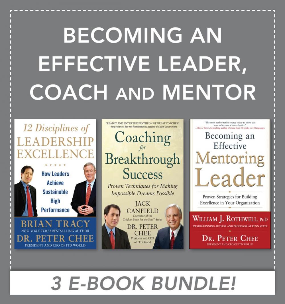 Big bigCover of Becoming an Effective Leader, Coach and Mentor EBOOK BUNDLE
