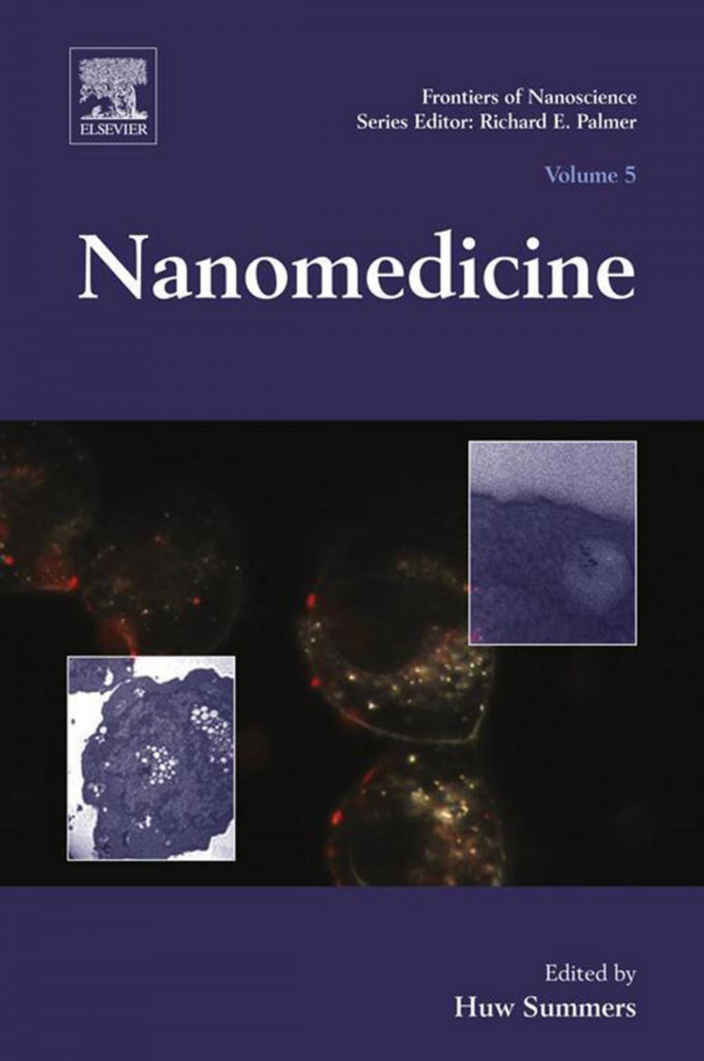 Big bigCover of Nanomedicine