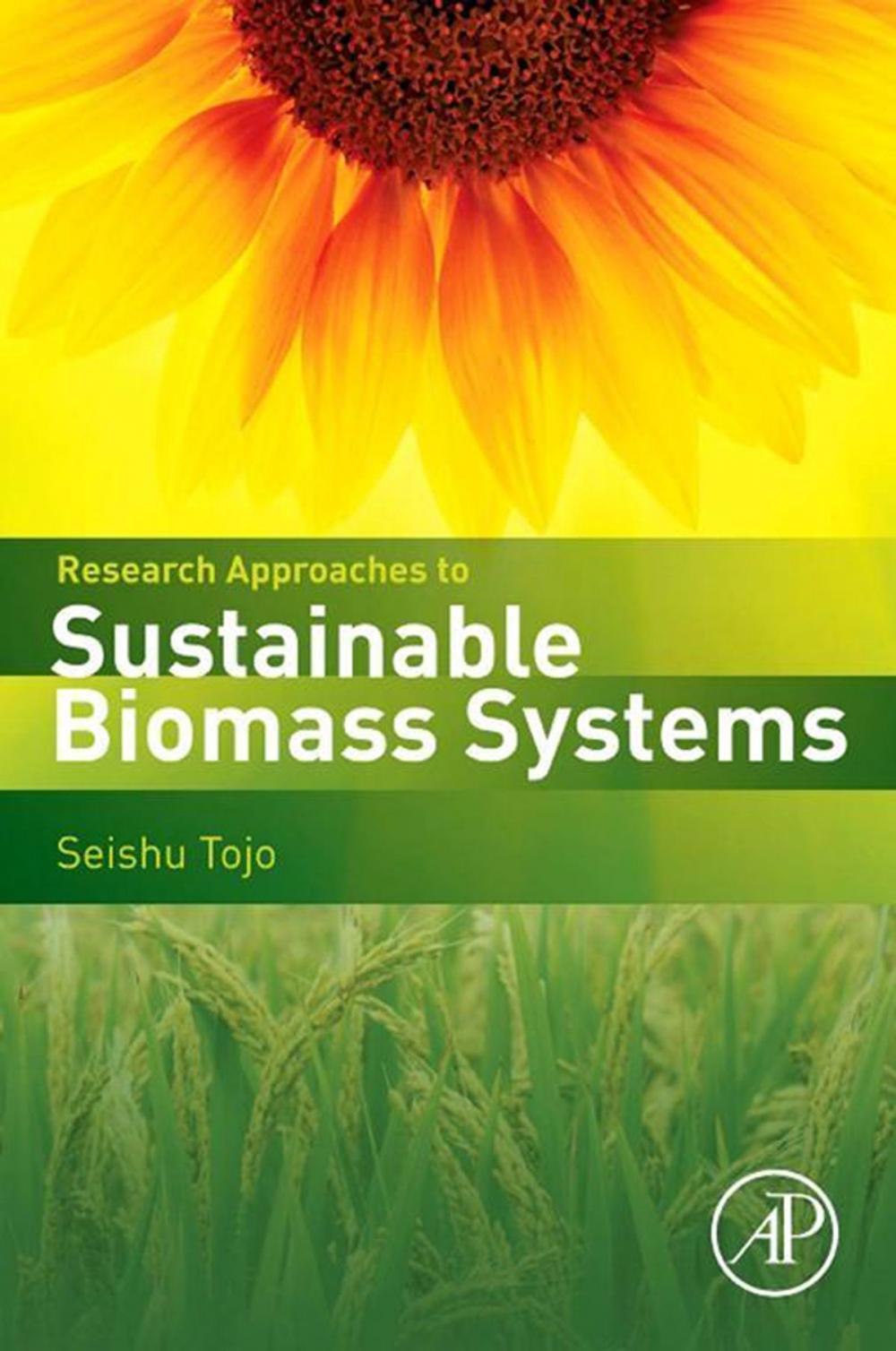 Big bigCover of Research Approaches to Sustainable Biomass Systems