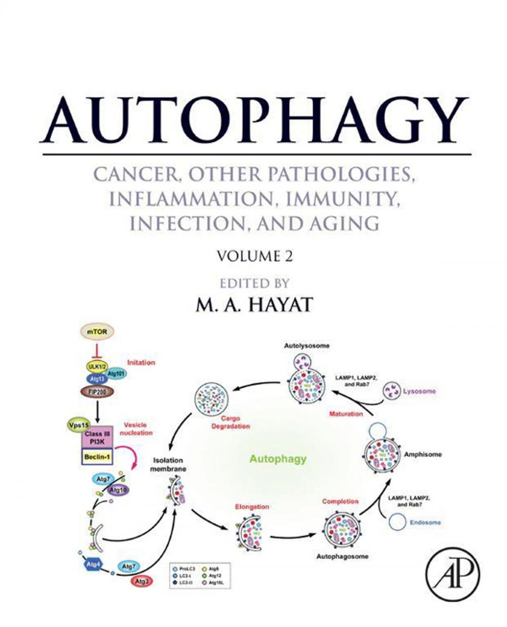 Big bigCover of Autophagy: Cancer, Other Pathologies, Inflammation, Immunity, Infection, and Aging