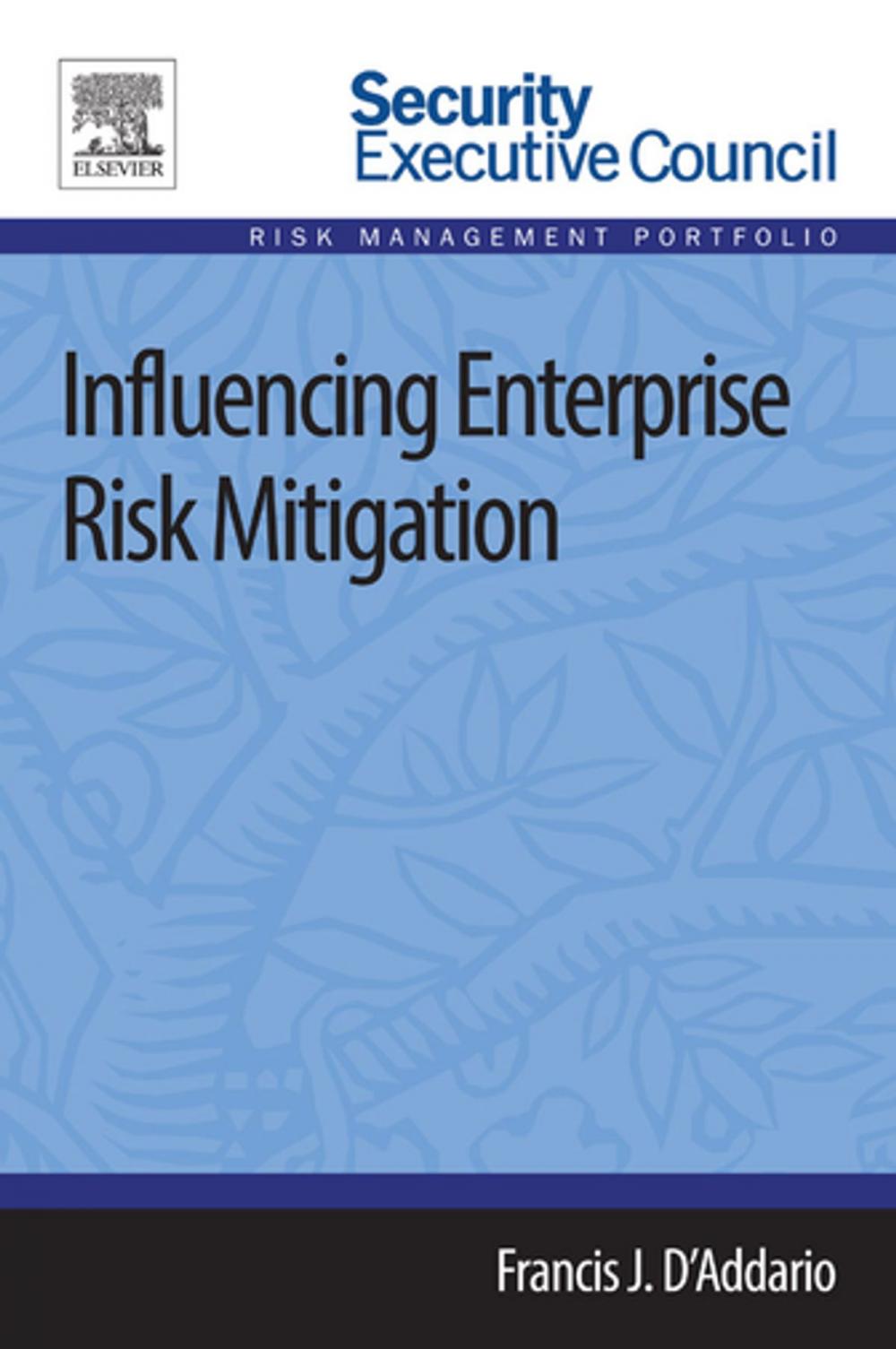 Big bigCover of Influencing Enterprise Risk Mitigation