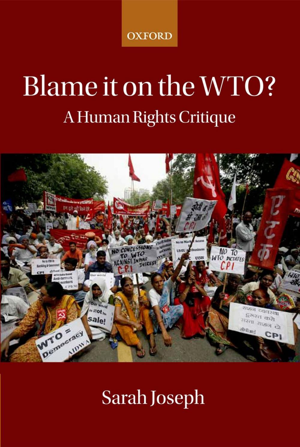 Big bigCover of Blame it on the WTO?